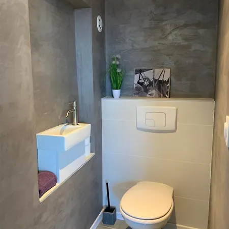 Villa Domaine Les Hauts De Geneve *