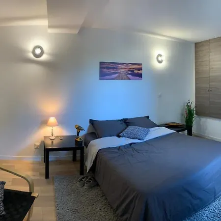 Villa Domaine Les Hauts De Geneve Gex